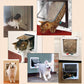 Dog Flap Door Pet Door for Dogs with Easy Install and Secure Lock