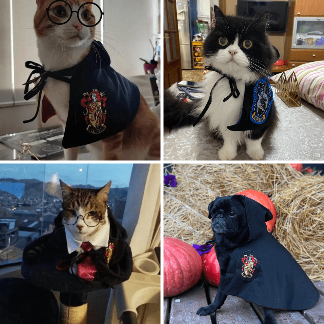Harry Potter Pet Costume Cape for Cats and Dogs Magical Cloak Dress Up