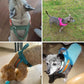 Dog T Harness Adjustable No Pull Pet Harness for Small Medium Large Dogs