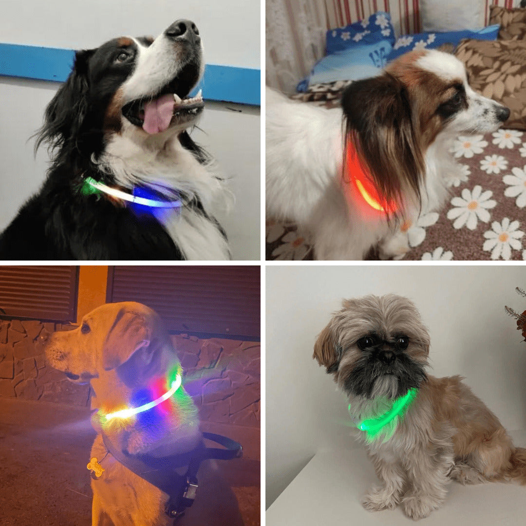LED Dog Collar Adjustable Light Up Safety Glow Collar for Pets