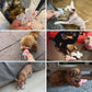 Mini Plush Cat Toys 2nd Edition Soft Stuffed Catnip Toys for Cats