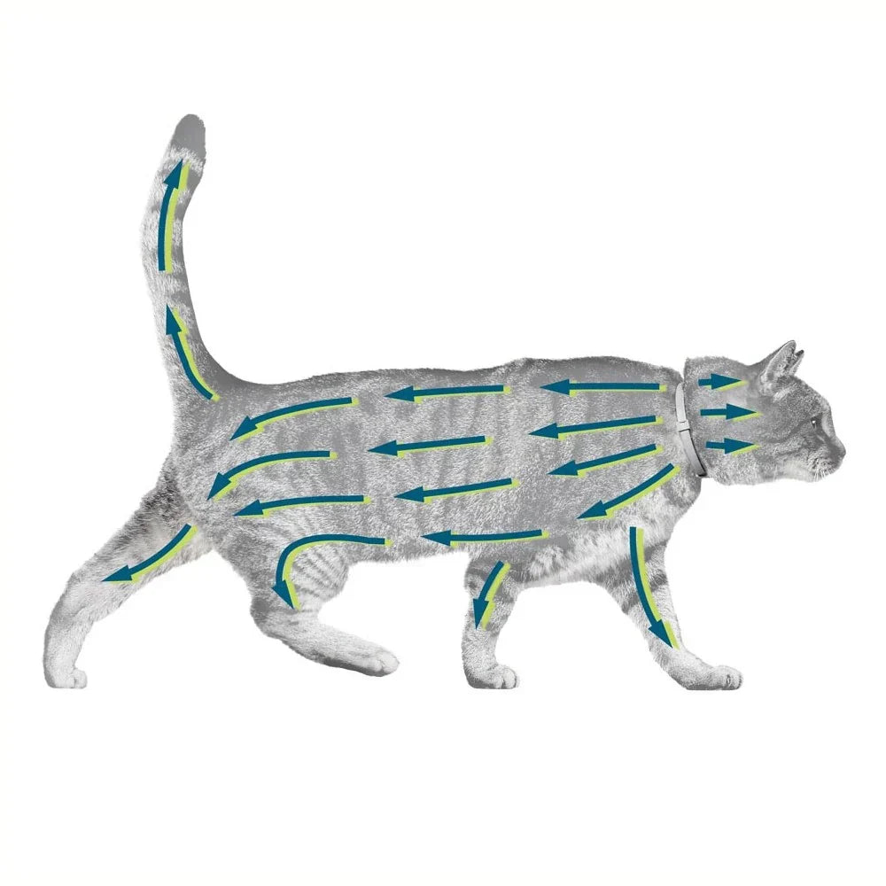 Natural Cat Flea Collar Flea and Tick Prevention for Cats