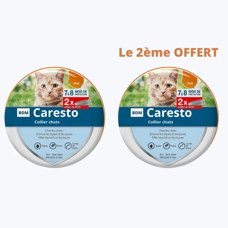 Natural Cat Flea Collar Flea and Tick Prevention for Cats