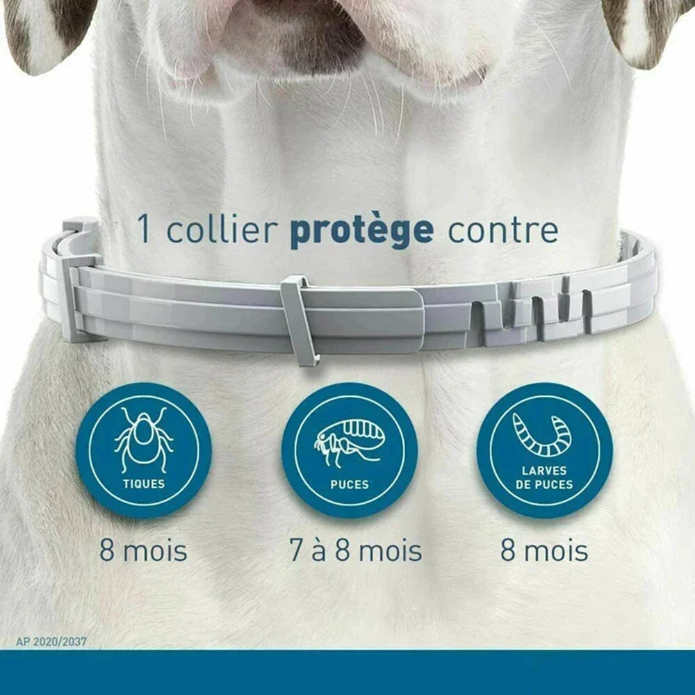 Natural Cat Flea Collar Flea and Tick Prevention for Cats