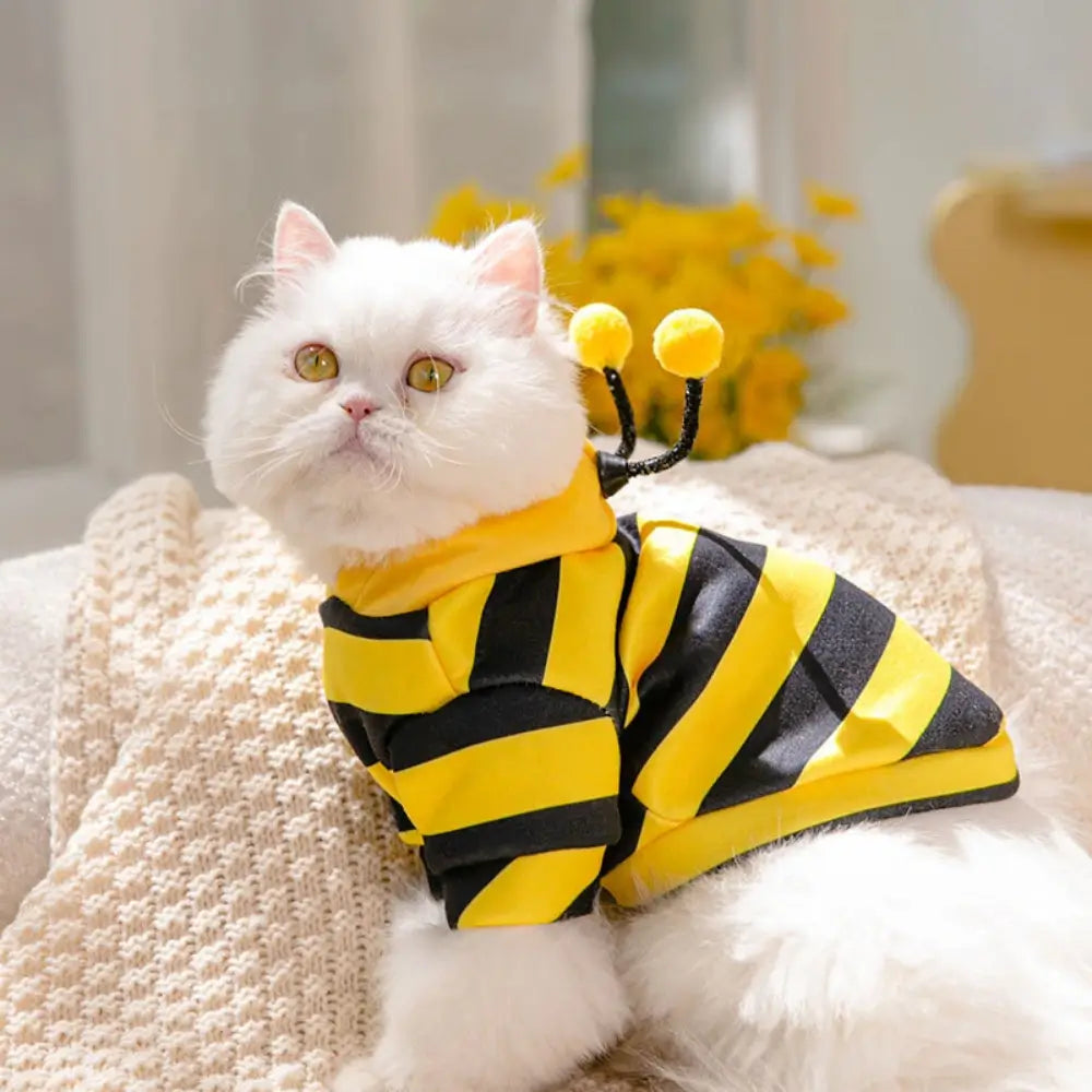 Cute Cat Hooded Costume for Kids and Adults Animal Pajamas Party Outfit