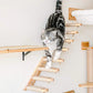 Cat Staircase Pet Steps for Small to Medium Cats and Kittens