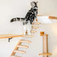 Cat Staircase Pet Steps for Small to Medium Cats and Kittens