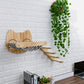 Cat Staircase Pet Steps for Small to Medium Cats and Kittens