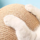 Cat Scratching Ball Toy Interactive Play Ball for Cats