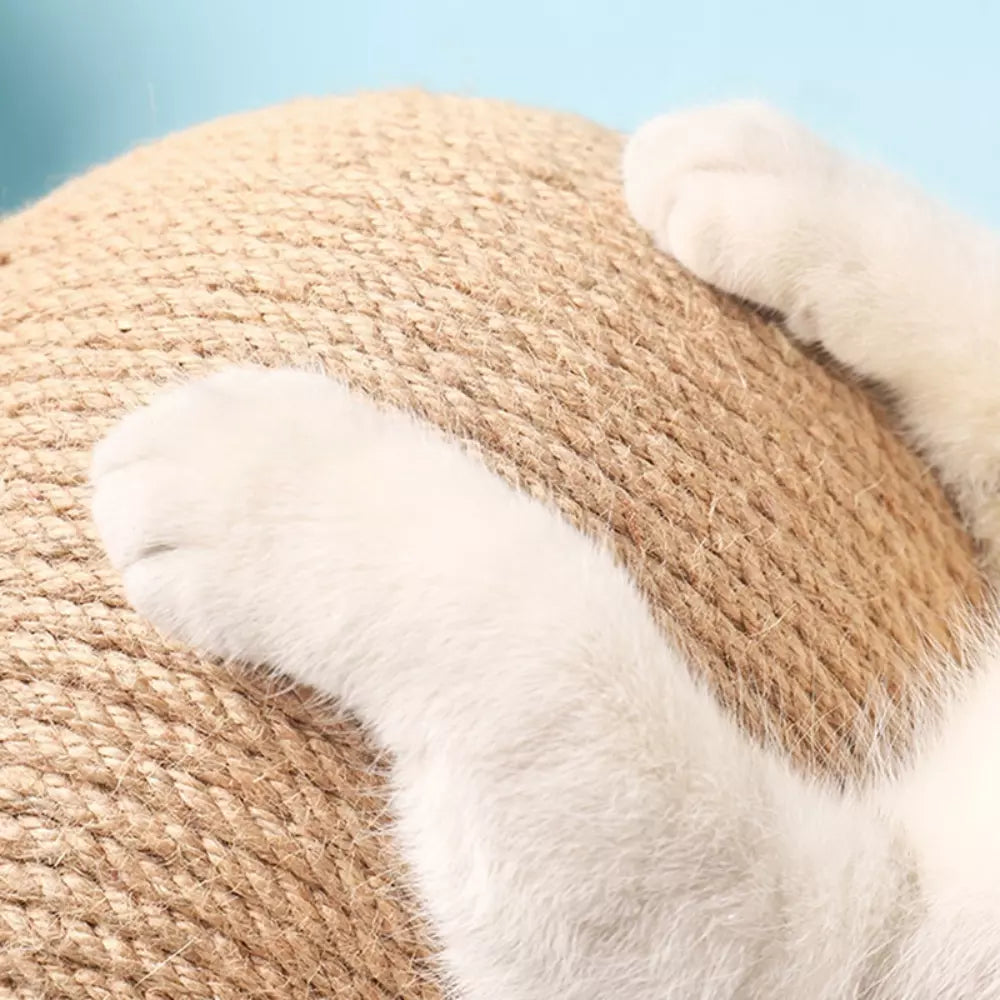 Cat Scratching Ball Toy Interactive Play Ball for Cats