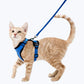 Escape Proof Cat Harness Adjustable Cat Leash Harness for Cats