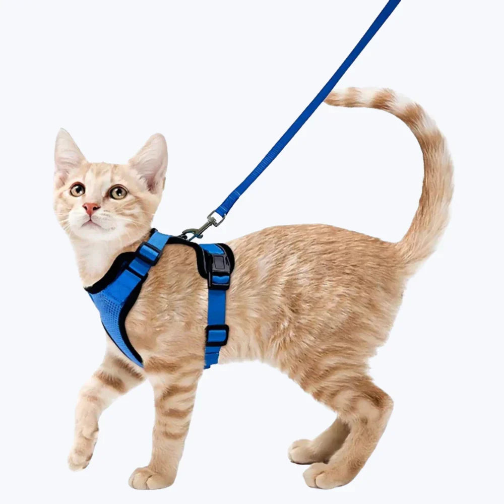 Escape Proof Cat Harness Adjustable Cat Leash Harness for Cats
