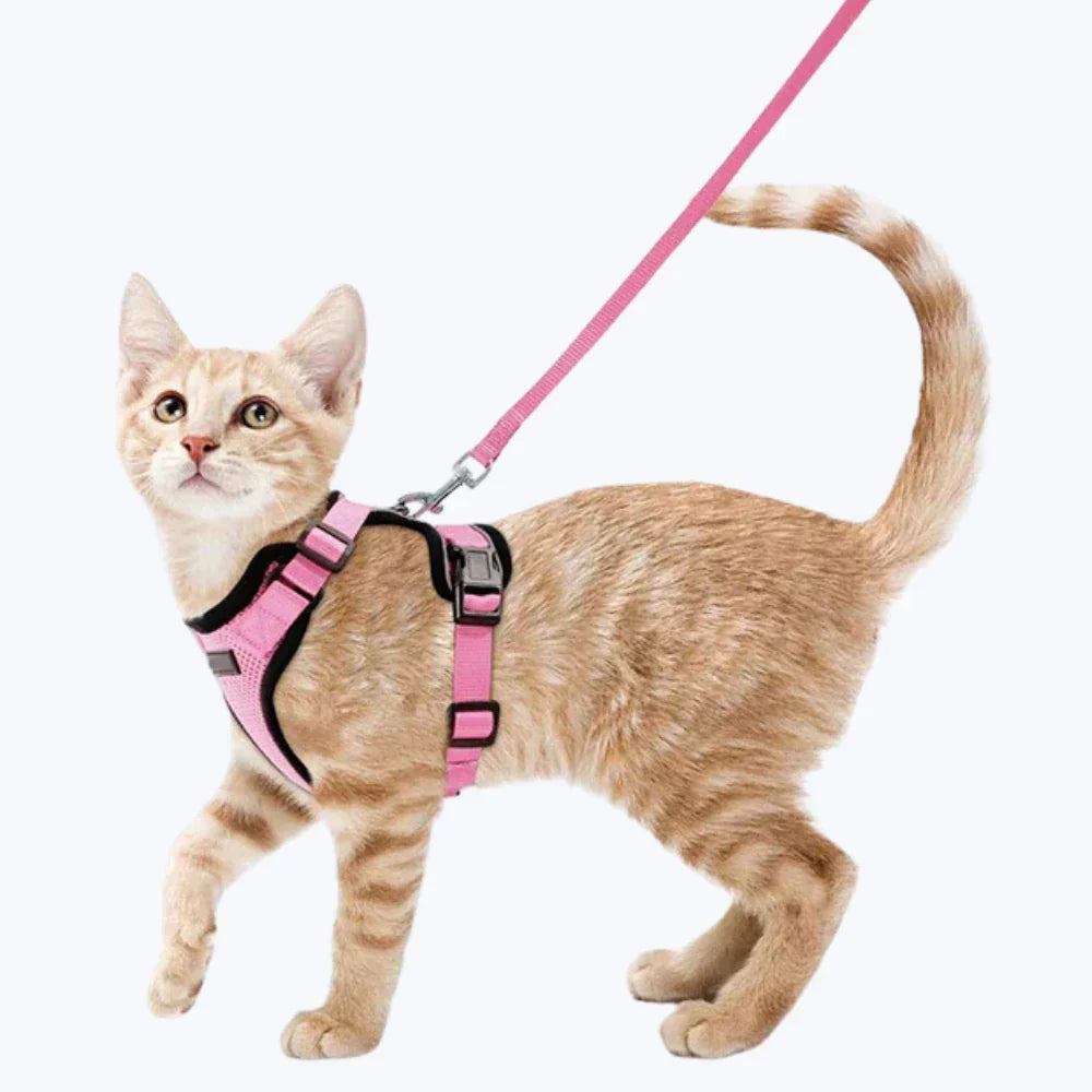 Escape Proof Cat Harness Adjustable Cat Leash Harness for Cats
