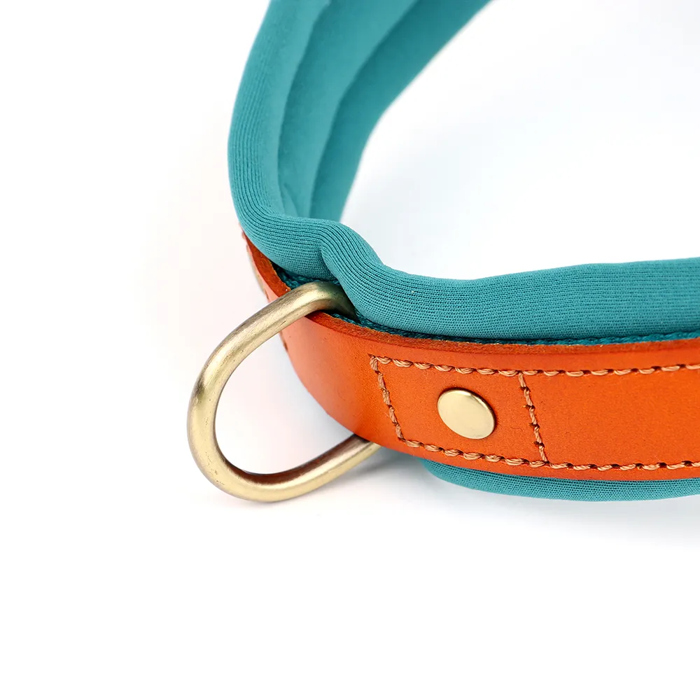 Dog T Harness Adjustable No Pull Pet Harness for Small Medium Large Dogs