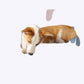 Plush Furry Dog Couch Soft Pet Sofa Bed