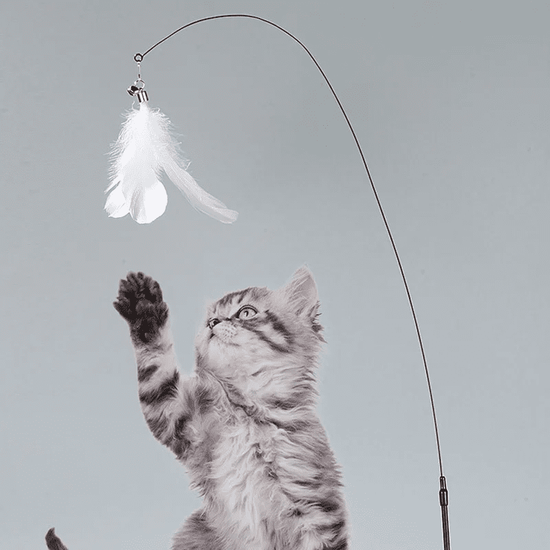 Cat Fishing Rod with Suction Cup Toy for Cats Interactive Play