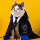 Harry Potter Pet Costume Cape for Cats and Dogs Magical Cloak Dress Up