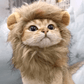 Lion Mane Wig Costume for Cats Cat Dress Up Pet Halloween Outfit