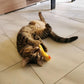 Mini Plush Cat Toys Soft Small Plushies for Cats Interactive Kitty Toys