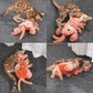 Interactive Pet Toy Crayfish Chew Toy for Dogs and Cats