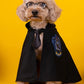 Harry Potter Pet Costume Cape for Cats and Dogs Magical Cloak Dress Up