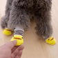 Dog Socks Yellow Striped Non Slip Pet Socks for Dogs