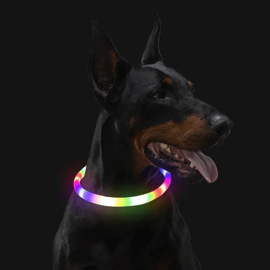 LED Dog Collar Adjustable Light Up Safety Glow Collar for Pets