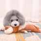 Plush Ribbed Sound Toy for Babies and Toddlers Soft Sensory Toy