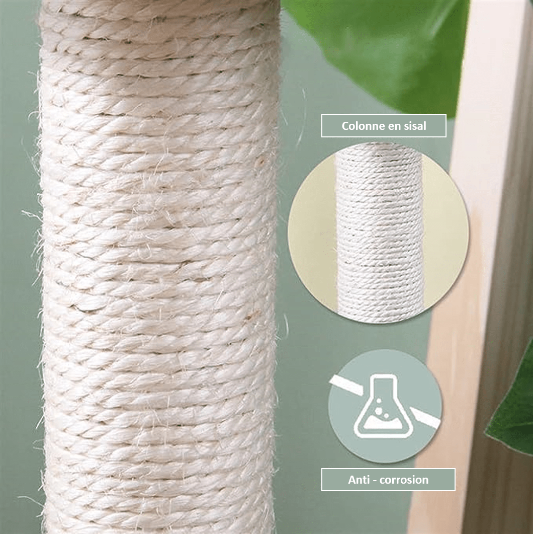 KiTree Small Cat Tree Pet Furniture for Cats Cat Scratching Post
