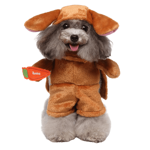 Pet costume for cats and dogs bunny outfit Easter bunny pet suit