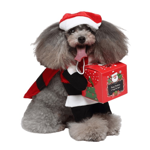 Santa Claus Costume for Cats and Dogs Holiday Pet Outfit