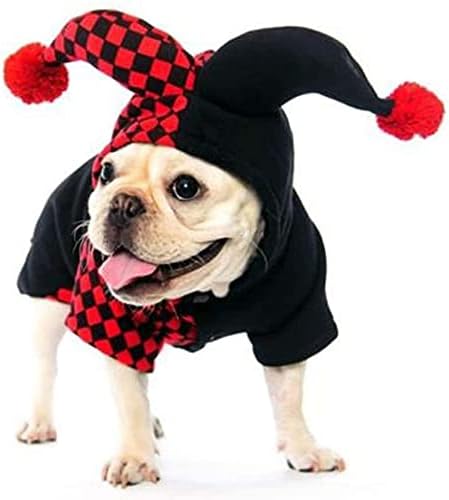 Crazy Costume for Cats and Dogs Fun Pet Outfit