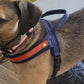 Dog T Harness Adjustable No Pull Pet Harness for Small Medium Large Dogs