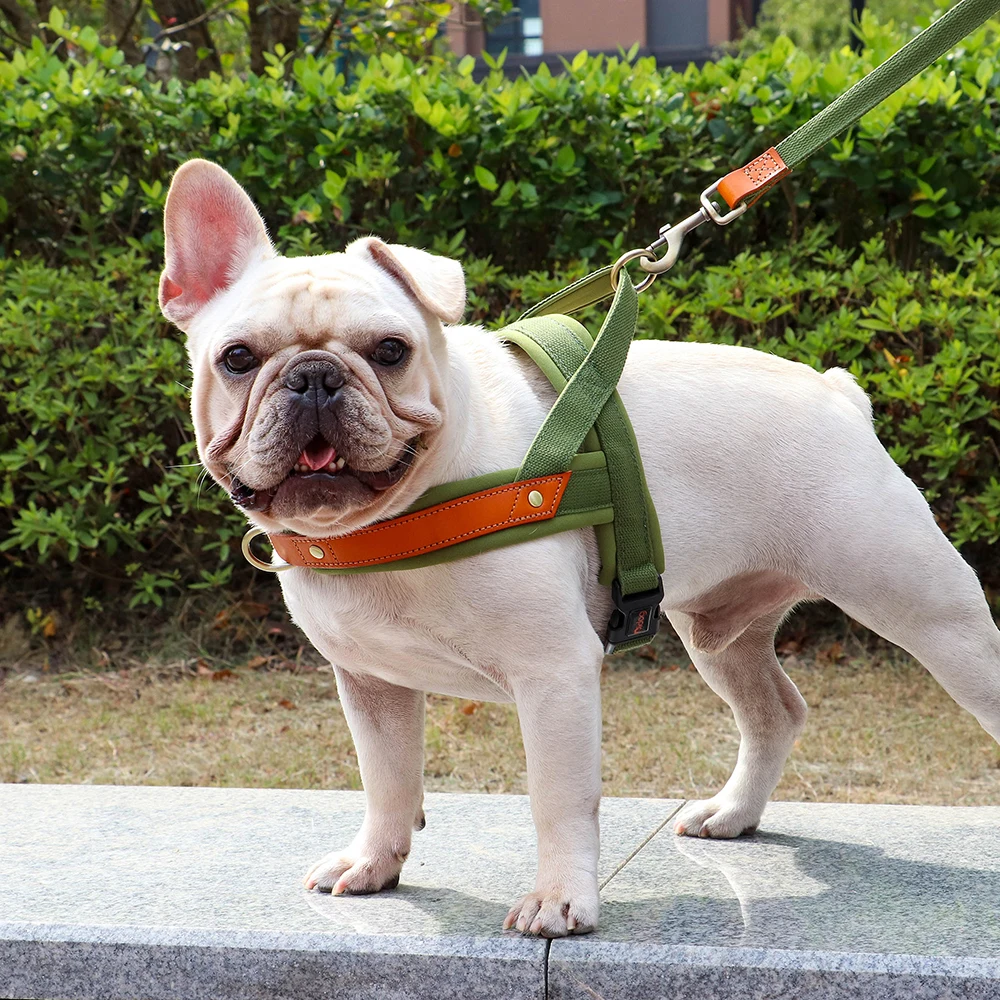 Dog T Harness Adjustable No Pull Pet Harness for Small Medium Large Dogs
