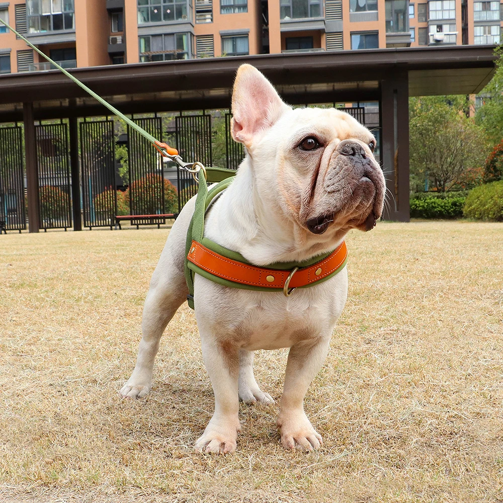 Dog T Harness Adjustable No Pull Pet Harness for Small Medium Large Dogs