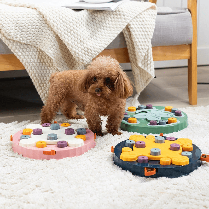 Interactive Digging Puzzle Toy for Dogs and Cats Brain Training Game
