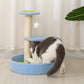 KiTree Small Cat Tree Pet Furniture for Cats Cat Scratching Post