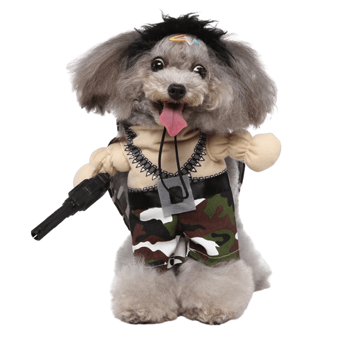 Military Costume for Cats and Dogs Pet Uniform Dog and Cat Outfit