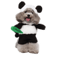 Cat and Dog Costume Panda Outfit Pet Halloween Dress Up
