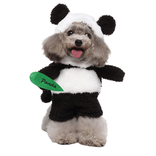 Cat and Dog Costume Panda Outfit Pet Halloween Dress Up
