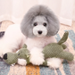 Plush Ribbed Sound Toy for Babies and Toddlers Soft Sensory Toy