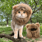 Lion Mane Wig Costume for Cats Cat Dress Up Pet Halloween Outfit
