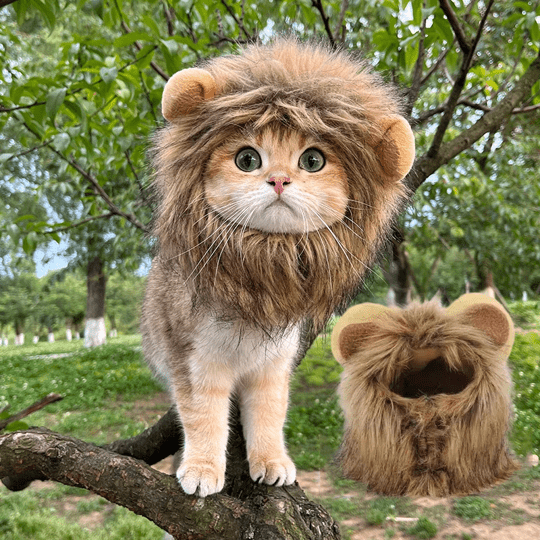 Lion Mane Wig Costume for Cats Cat Dress Up Pet Halloween Outfit
