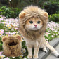 Lion Mane Wig Costume for Cats Cat Dress Up Pet Halloween Outfit