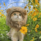 Lion Mane Wig Costume for Cats Cat Dress Up Pet Halloween Outfit