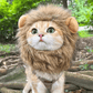 Lion Mane Wig Costume for Cats Cat Dress Up Pet Halloween Outfit