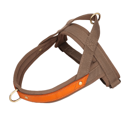 Dog T Harness Adjustable No Pull Pet Harness for Small Medium Large Dogs