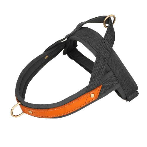 Dog T Harness Adjustable No Pull Pet Harness for Small Medium Large Dogs