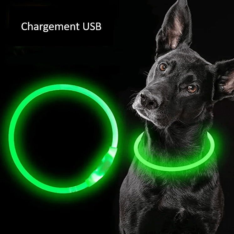 LED Dog Collar Adjustable Light Up Safety Glow Collar for Pets