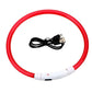 LED Dog Collar Adjustable Light Up Safety Glow Collar for Pets